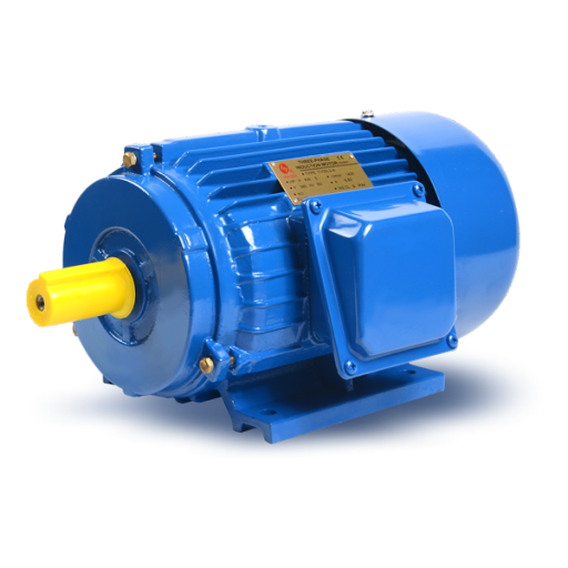 Y SERIES THREE-PHASE ASYNCHRONOUS INDUCTION MOTOR