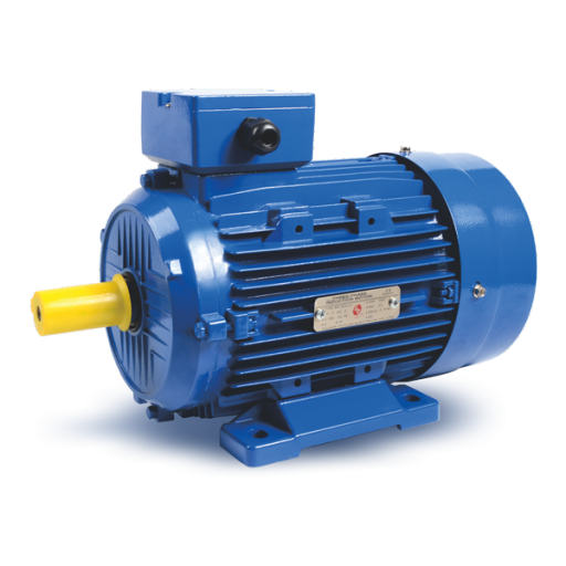 MS SERIES THREE-PHASE ASYNCHRONOUS MOTOR WITH ALUMINUM HOUSING