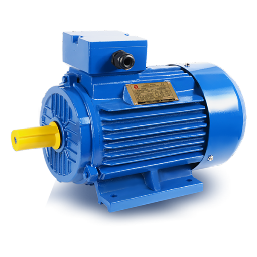 Y2 SERIES THREE-PHASE ASYNCHRONOUS INDUCTION MOTOR